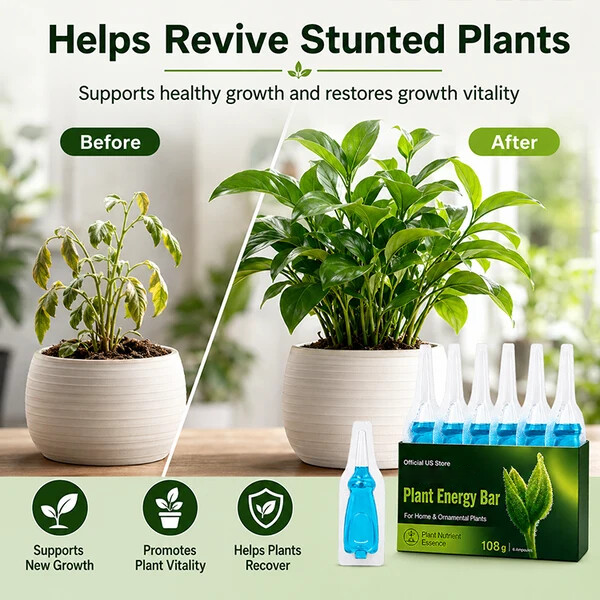 Plant Energy Bar