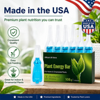 Plant Energy Bar